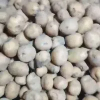 سیب زمینی کلمبا