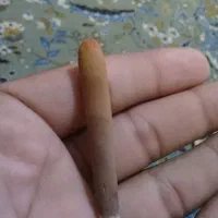 بحری اصلی عرج