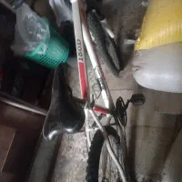 دوچرخه|دوچرخه، اسکیت، اسکوتر|رومشکان, |دیوار