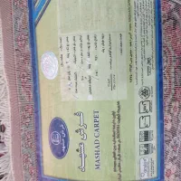 فرش مشهد۶متری|فرش|مشهد, چهارچشمه|دیوار