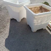 گلدان