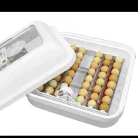 دستگاه جوجه کشی ایزی باتور 1 48 تایی