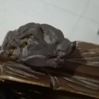 شهاب.سنگ.مریخی