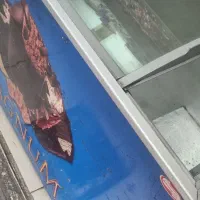 فریزر بستنی۳۰۰لیتری