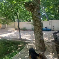 باغ|فروش خانه و ویلا|نطنز, |دیوار