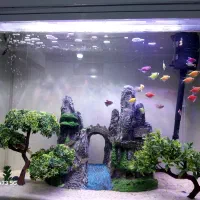 اکواریوم شیشه خم