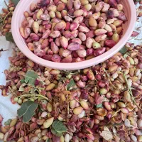 پسته تازه با پوست