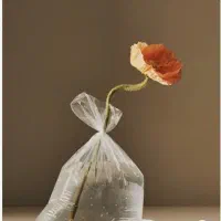 فروش عمده کیسه فریزر بهداشتی و قیمت مناسب|عمده‌فروشی|تهران, مولوی|دیوار