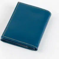 کیف کارت گمشده