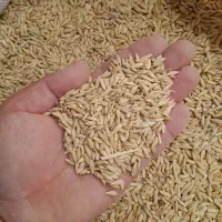 جو وطنی|لوازم جانبی حیوانات|زابل, |دیوار