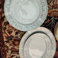 دوتا دیس یکی بزرگ یکی کوچک با پلو خوری