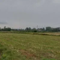 زمین-کشاورزی