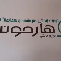 کارگر رنگ کار الکترو استاتیک