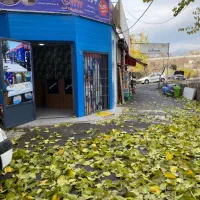 باربری ۱۷۱۷(شمال بار سابق) حقوق بالای ۵۰