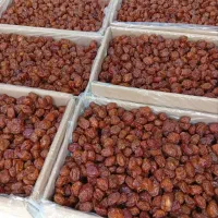خشکبار و آلو بخارا نیشابور|خوردنی و آشامیدنی|تهران, قلمستان|دیوار