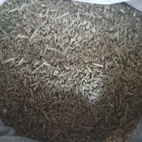 1تن جو آبی.میش.بره.بز