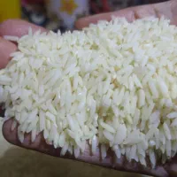 برنج دم‌سیاه اصل تضمینی