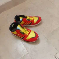 کفش زدیکس