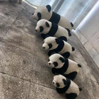 عروسک|اسباب‌‌بازی|تهران, میدان میوه و تره‌بار مرکزی|دیوار