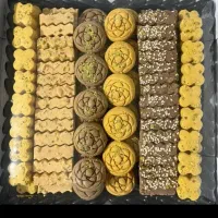 شریک کاری میخوام قنادی