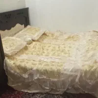 روتختی|سرویس روتختی|قم, چهل درخت|دیوار