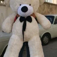 خرس دو متری شاخسین