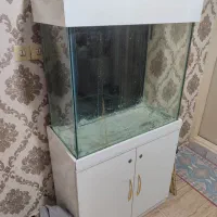 آکواریوم ماهی