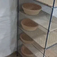 جفت گاه پرنده|لوازم جانبی حیوانات|داراب, |دیوار