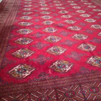 فرش ۹ متری ترکمن|فرش|رشت, پیرکلاچای|دیوار