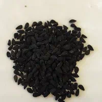 سیاه دانه بذر خارجی صادراتی|خوردنی و آشامیدنی|اصفهان, سعادت‌آباد|دیوار