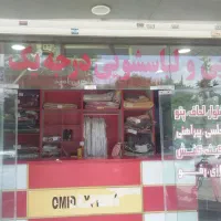 نیرو کار وارد به امور خشکشویی  باسابقه