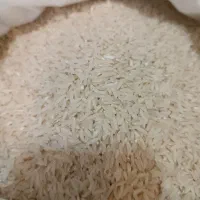 برنج هاشمی آستانه