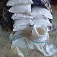 برنج فجر سوزنی 95روزه|عمده‌فروشی|رامیان, |دیوار