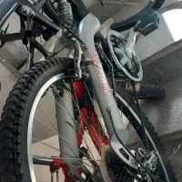 دوچرخه دوعدد