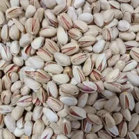 پسته سفید بادمی درجه یک