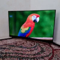 فوق هوشمند۵۰پنل الجی جی پلاس اسمارت اندروید4k