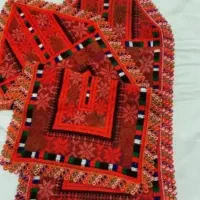 باکریشی های آمنه بهترین هاروداشته باشین