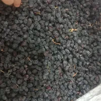 کشمش مویز  آفتابی درجه یک|خوردنی و آشامیدنی|ساوه, |دیوار