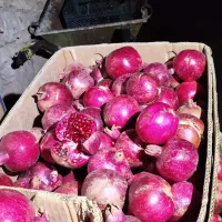 انار قرمز درجه یک کهمره