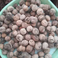 چند کیلو گردو و ترشی انار بفروش میرسد