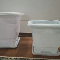 گلدان بزرگ|گل و گیاه طبیعی|تهران, سازمان برنامه شمالی|دیوار