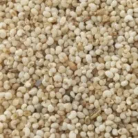 دانه دارویی|خوردنی و آشامیدنی|کوهدشت, |دیوار