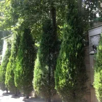 200 متر 4 خوابه نیاوران/فرمانیه به قیمت رسیده|فروش آپارتمان|تهران, جماران (نیاوران)|دیوار