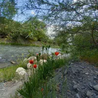 طبیعت‌گردی یک‌روزه ، دوستانه و پر از خاطره
