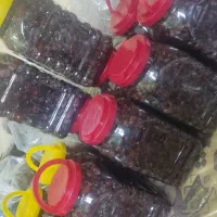 خرما شیره|خوردنی و آشامیدنی|منوجان, |دیوار