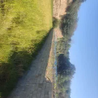 ۴۰۹۰ متر باغ کیوی با درختان سه ساله