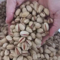 فروش پسته تناژ بالا رفسنجان