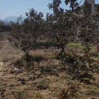 فروش باغ|فروش خانه و ویلا|خوسف, |دیوار