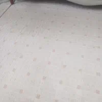 پالاز موکت ۶ متری