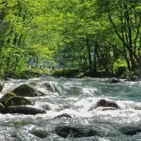 تور شاد ترکیبی ۸ روزه شمال مشهد|تور و چارتر|شیراز, ملاصدرا|دیوار